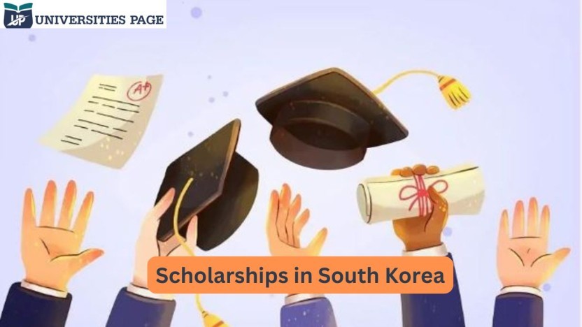 scholarships in south korea